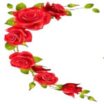 roses for you