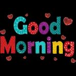 Lovely day!🔅