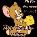 Süße Träume schönen Abend