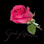 good morning, loving u~