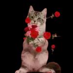 Just checking if you're still here 💖