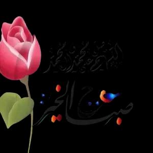 ACq9qy