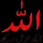 اللہ پاک آپ کو جوآپ حق میں بہتر ہے وہ سب عطا کرے