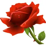 flowers for u, my love