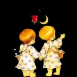 Tägliche Grüße🌹