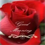 good morning