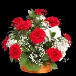 Love is you to me🌹