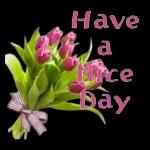 Lovely day!🔅