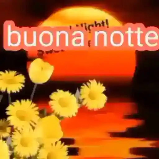 buona notte