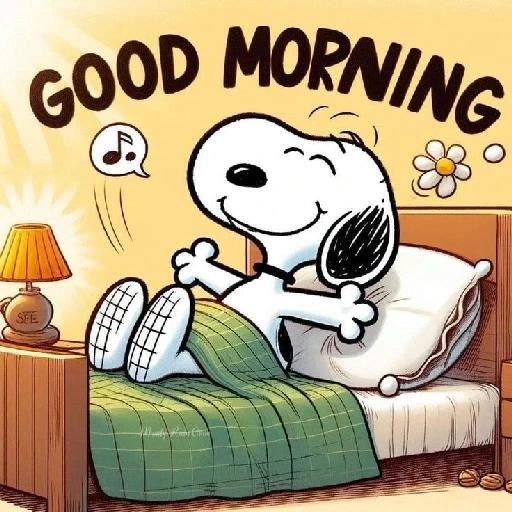 Buongiorno