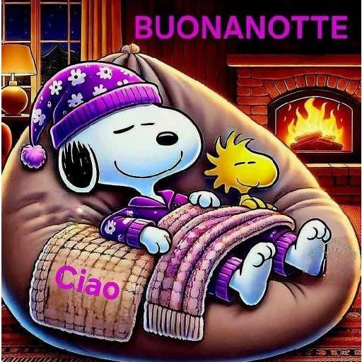A Domani, Buonanotte