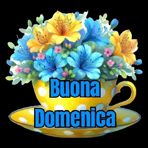 Buona Domenica