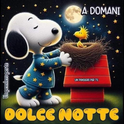 A DOMANI UN PENSIERO PER TE DOLCE NOTTE
