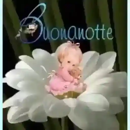 buona notte
