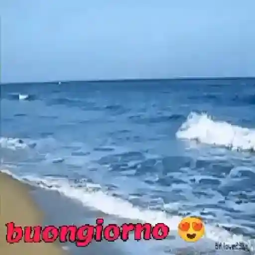 artist