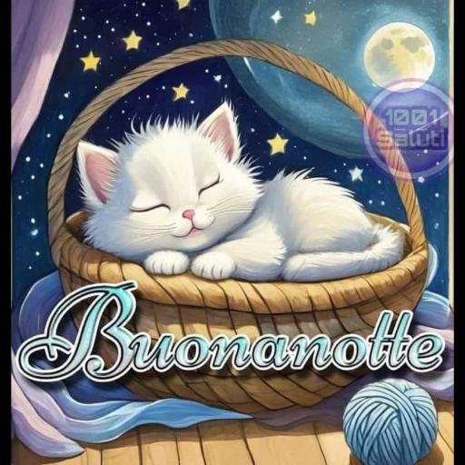 notte 