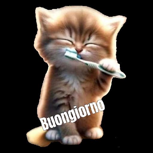 È una giornata perfetta per stare all'aperto