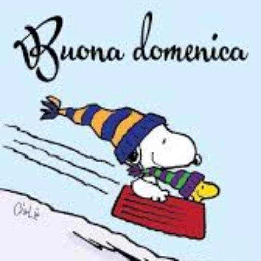 BUONA NOTTE