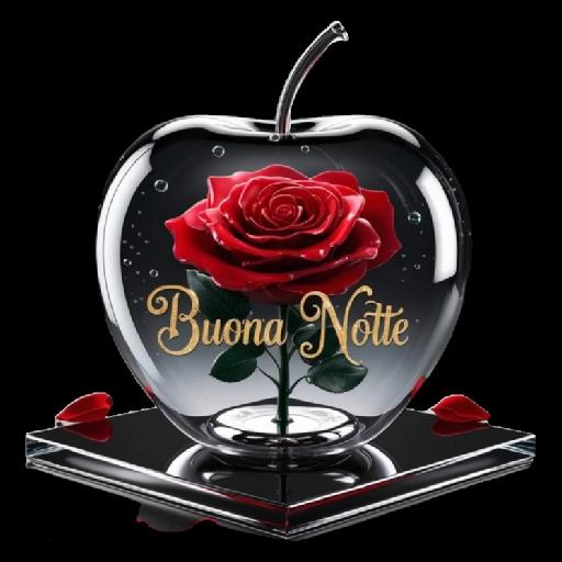 Buonanotte 50
