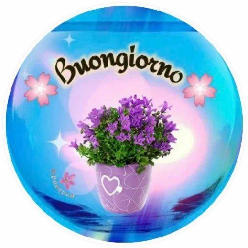 Sole.. Cuore.. Buongiorno