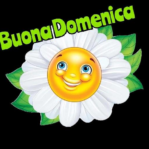 Buona Domenica