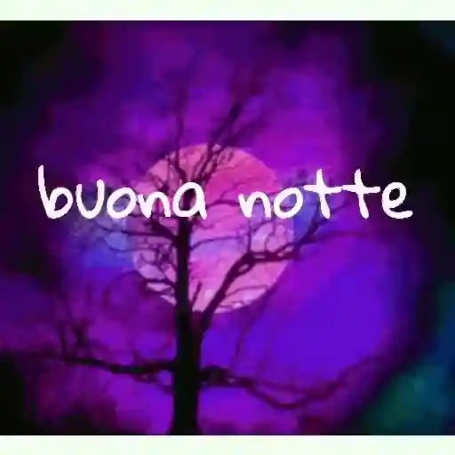 notte ani