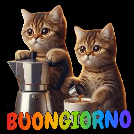 BUONGIORNO