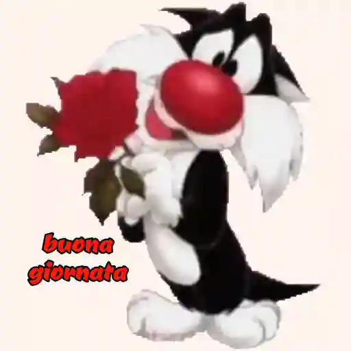 buona giornata