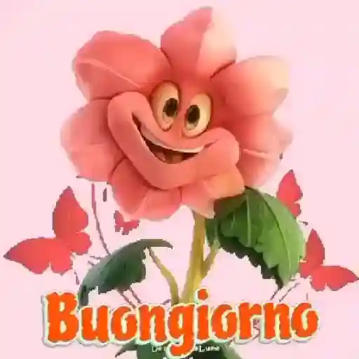 buona notte