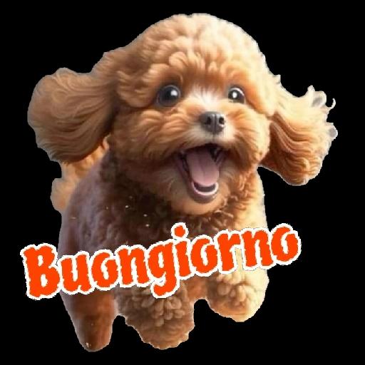 Nuovo utente che ti segue! 🌟👀