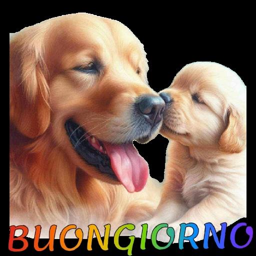 1000 cuori x 1 sorriso Dolce Notte e Sogni d'oro