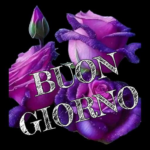 Buongiorno