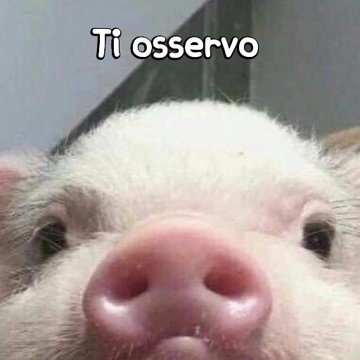ciao