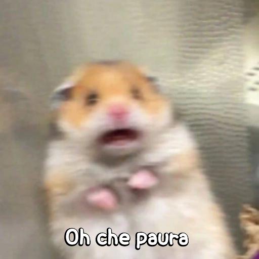 ciao