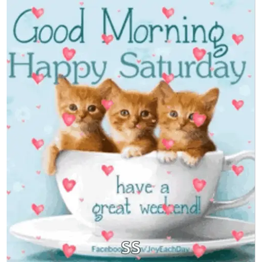 Good Morning Happy Saturday have a great weekend!