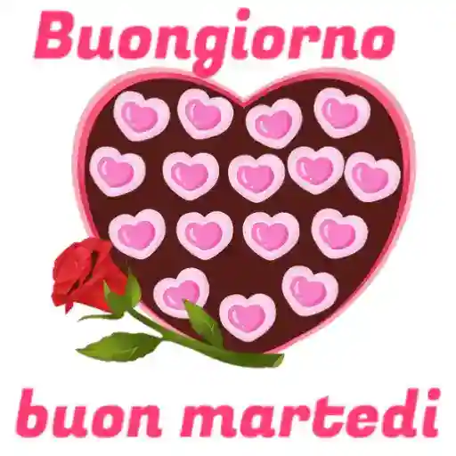 buondi 