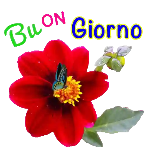 in movimento 