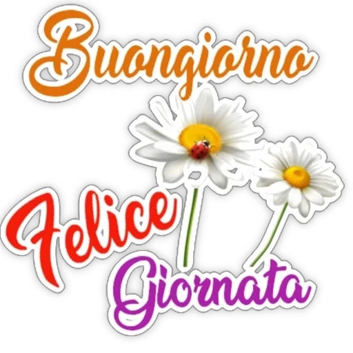 buongiorno