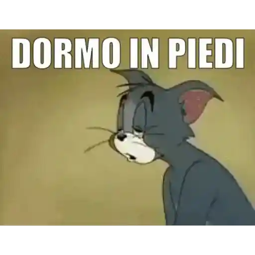 buondi 