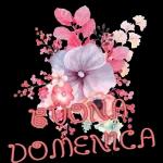 Buona settimana👀