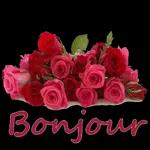 bonjour