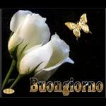 Buongiada