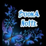  Bonjour

