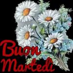 Buona settimana👀