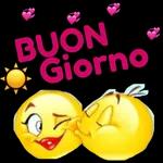  Buongiorno
