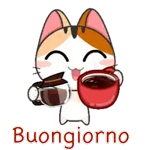sono goliardia 