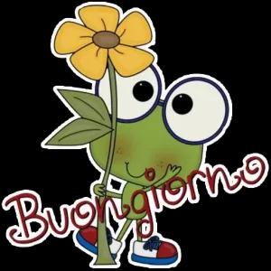 NCqUrw