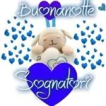 notte notte