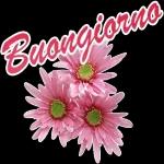 Buongiorno