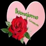Ti voglio bene amica mia